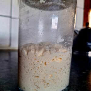 Traditional Sourdough Starter