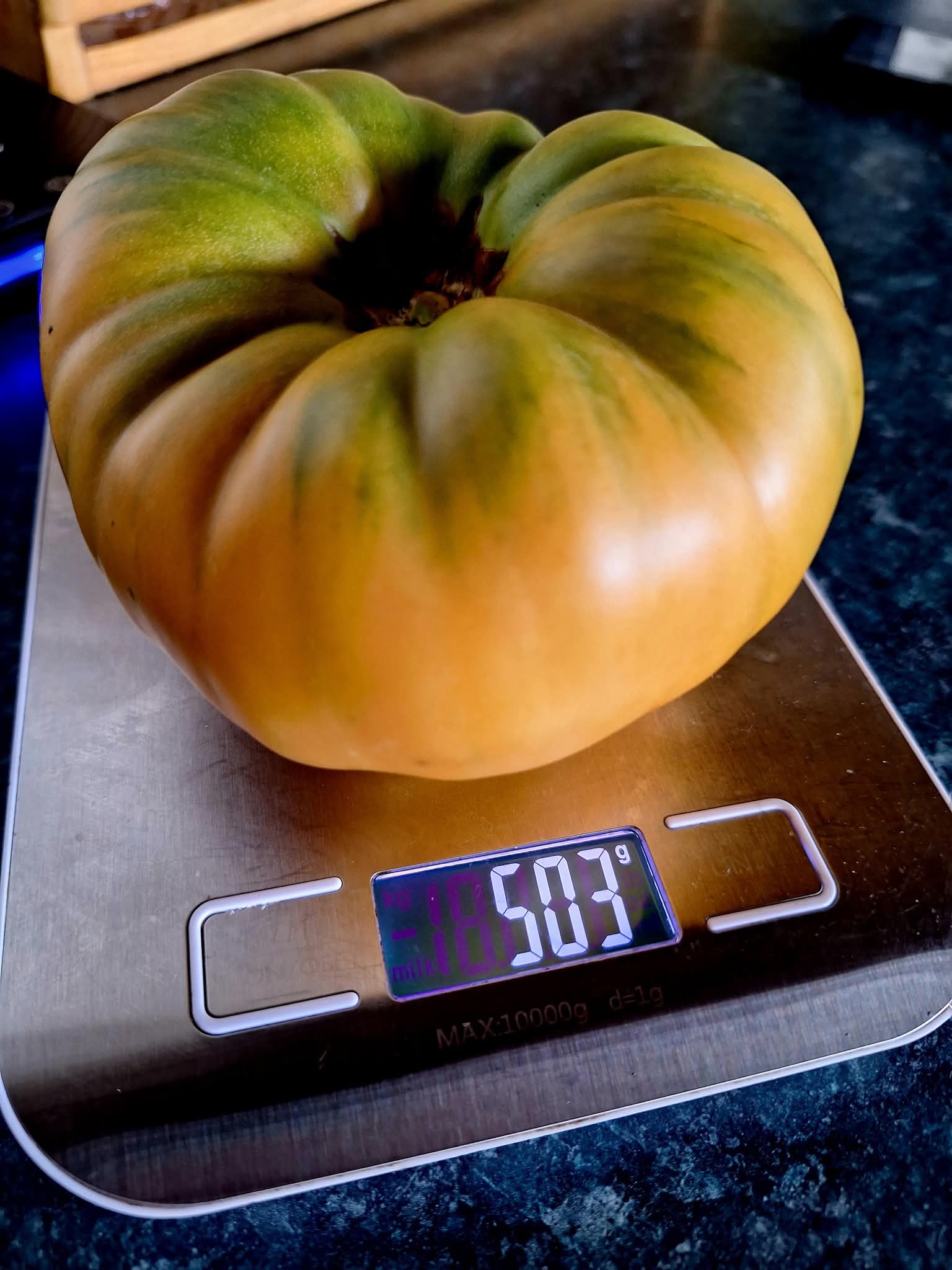 White Wonder Beefsteak Tomato