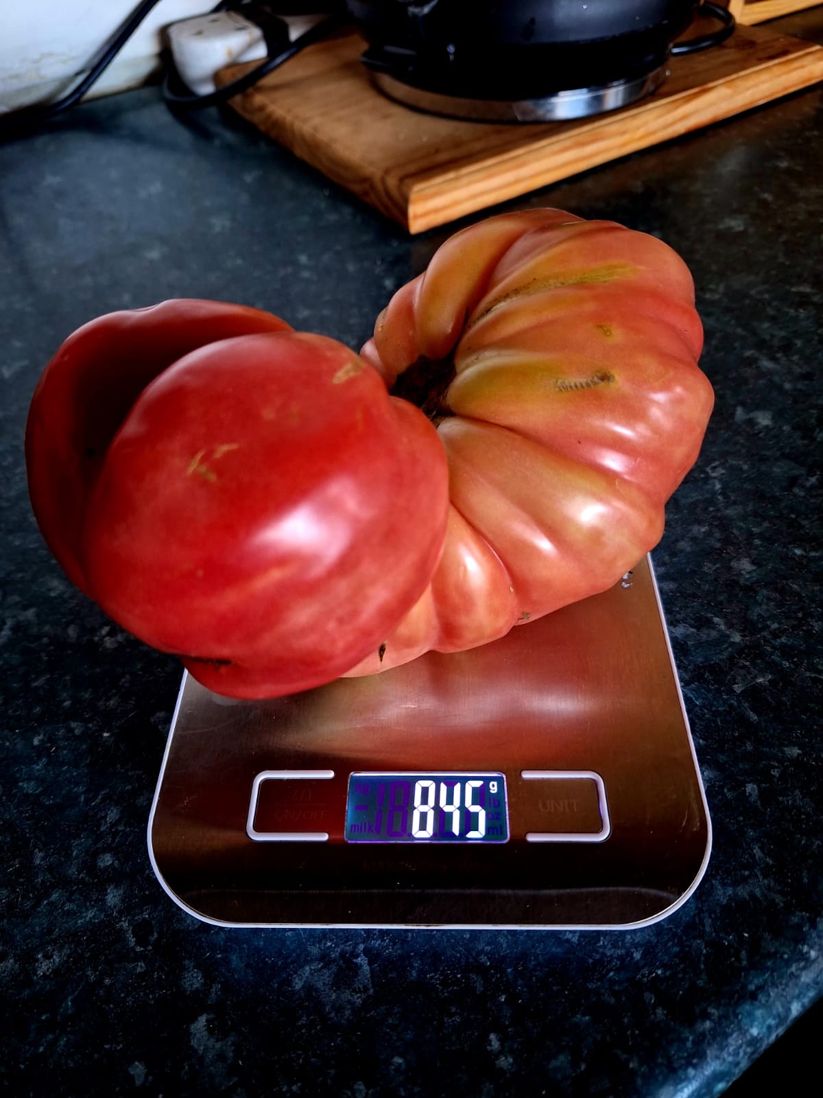 Italian Domingo Tomato