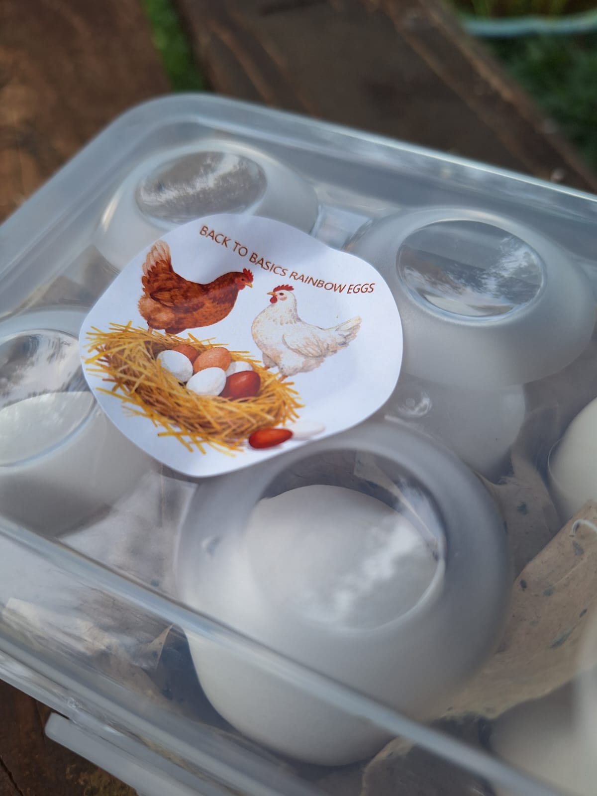 Reusable Hatching Egg Courier Tray