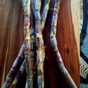 Hard Rind Purple Sugar Cane