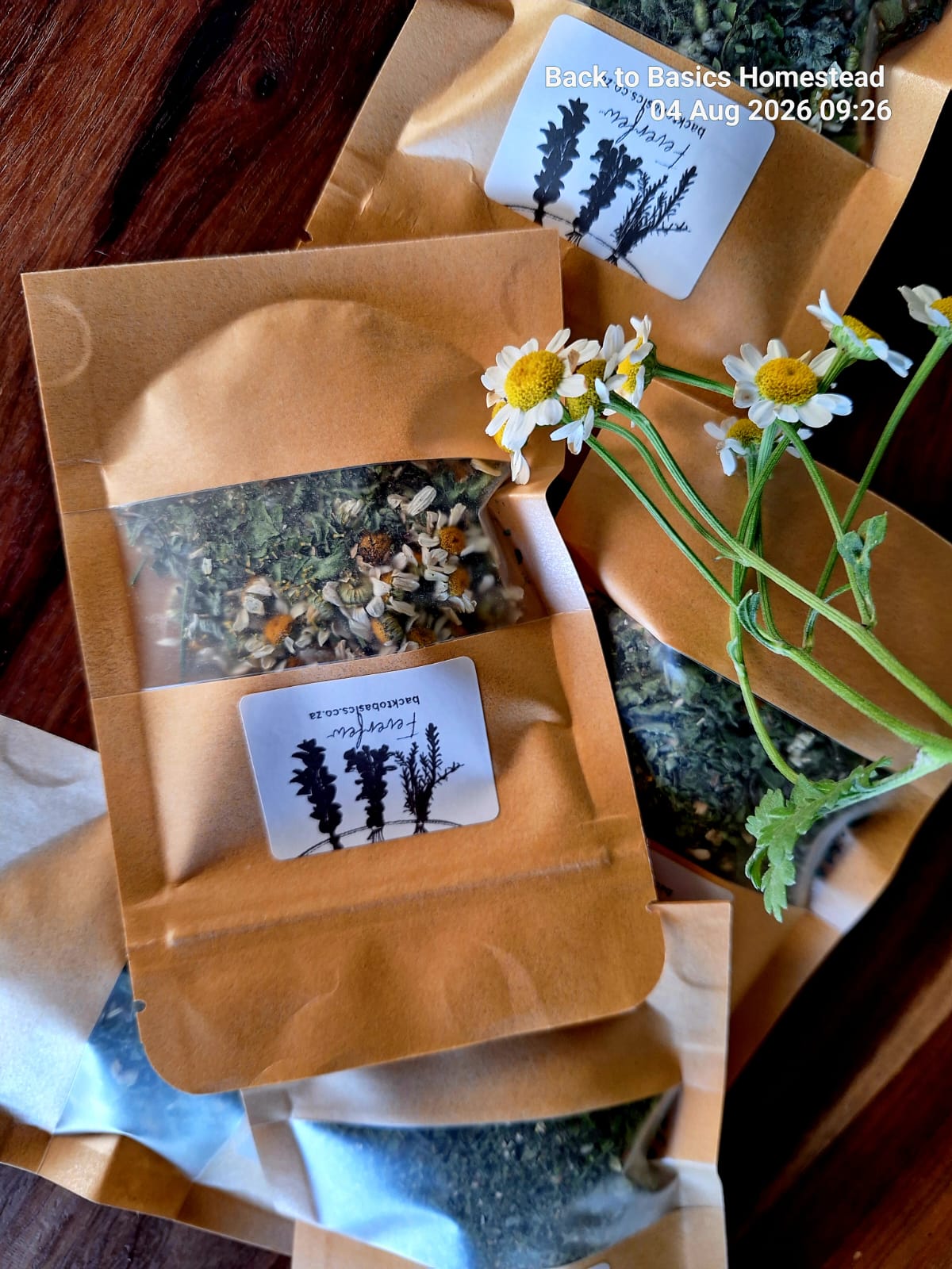 Dried Feverfew (10g)